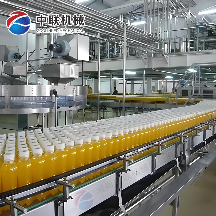 整套菇娘果飲料生產(chǎn)線設(shè)備